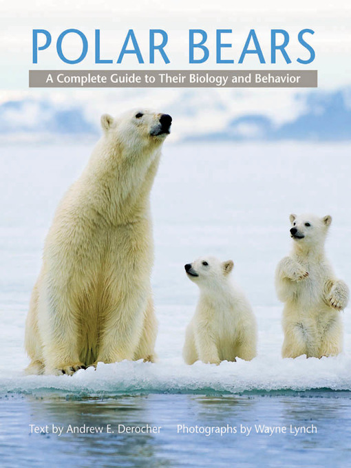 Title details for Polar Bears by Andrew E. Derocher - Available